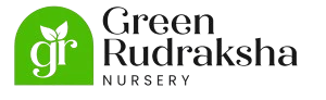 Green Rudraksh Nursery
