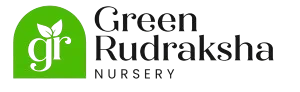 Green Rudraksh Nursery